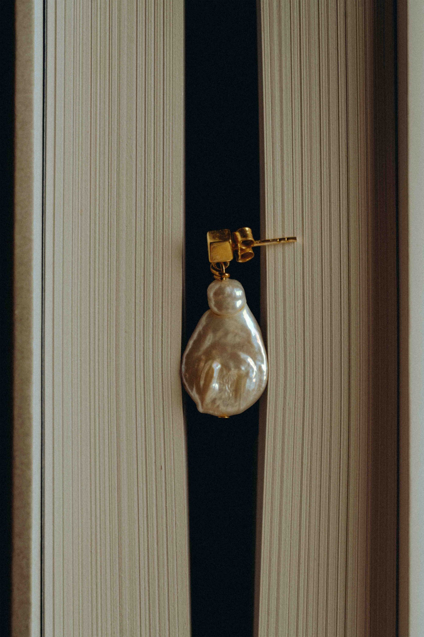 Сережки Echó